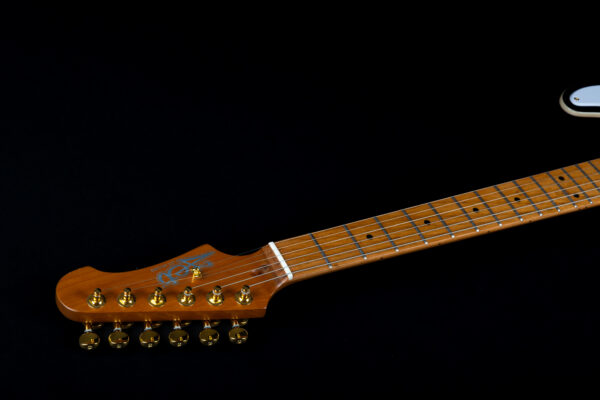 Jet Guitars JT600BSG單雙Tele電吉他 虎紋漸層金 Richie Kotzen style