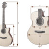 Morris Guitars M82 全單板指彈日製吉他 陳列品