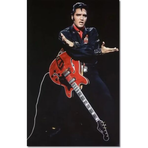img_8721 Hagstrom VIK67-G-WCT Elvis Presley 貓王簽名款半空心電吉他 酒紅