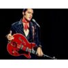 img_8722 Hagstrom VIK67-G-WCT Elvis Presley 貓王簽名款半空心電吉他 酒紅
