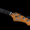 Jet Guitars JJB300GDR (金/龜背)