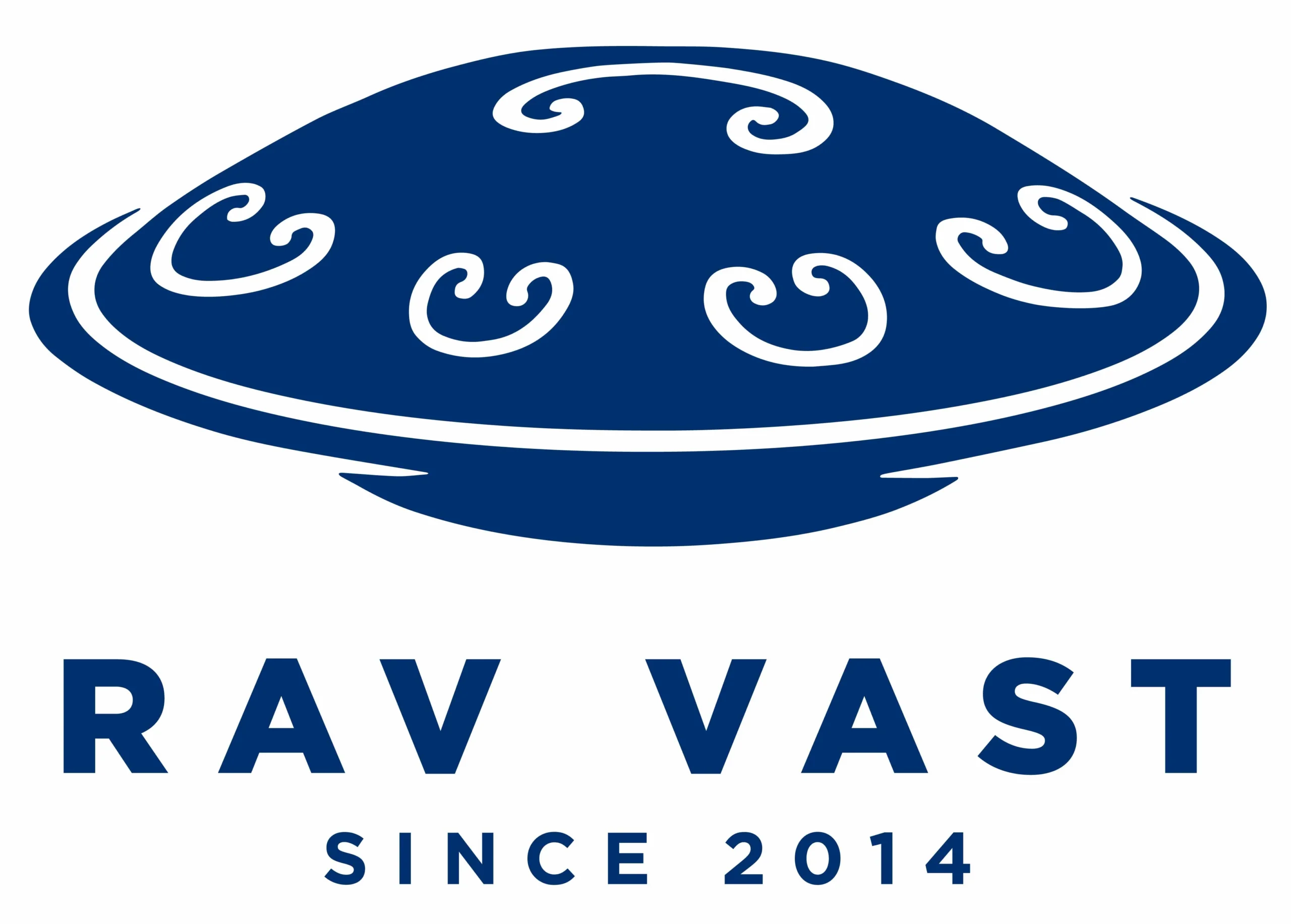 RAV VAST 手碟